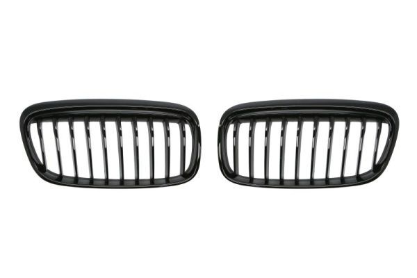Grila radiator BLIC 6502-07-0071998P