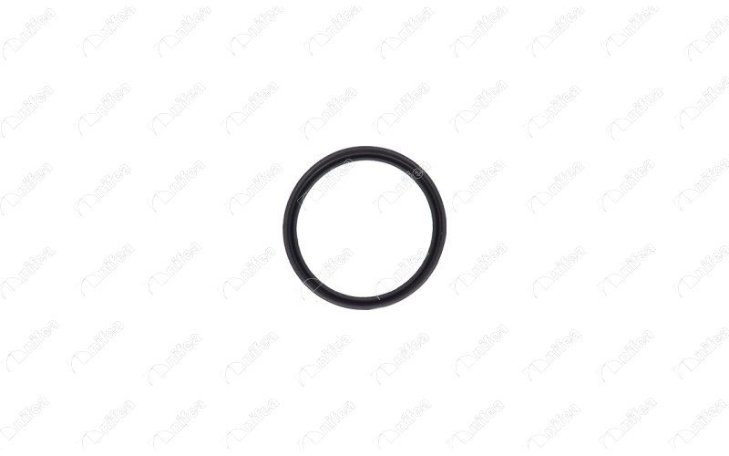 Bague d'étanchéité, gaine de suralimentation