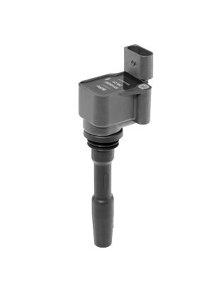 Cewka zapłonowa BORGWARNER (BERU) ZSE231