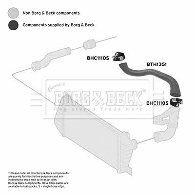 Przewód powietrza doładowującego BORG & BECK BTH1351