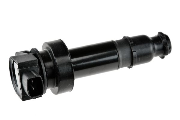 bobina de inductie MTR 12119923