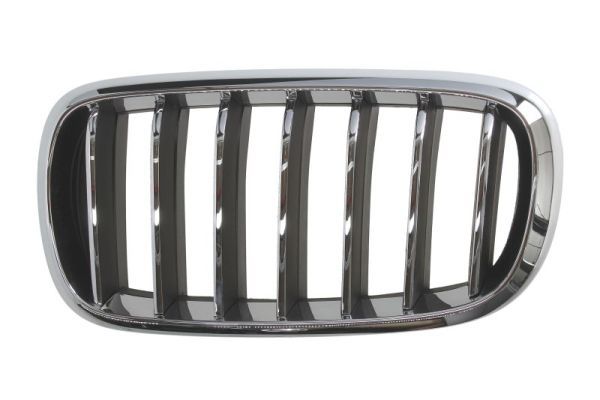 Grila radiator BLIC 6502-07-00969933P
