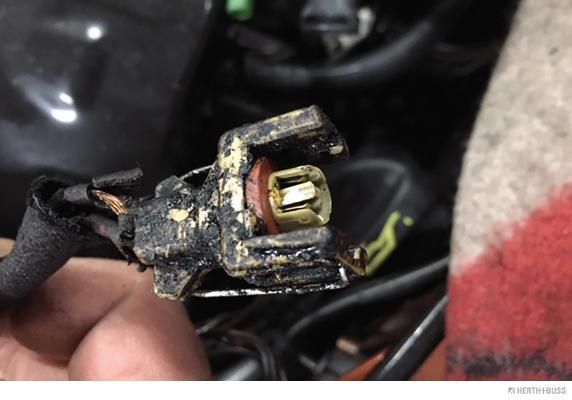 Levně Opravná sada kabelu, vstřikovací ventil HERTH+BUSS ELPARTS 51277266
