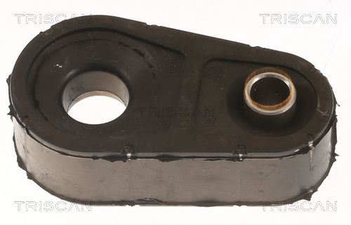 Drążek / wspornik, stabilizator TRISCAN 8500 10665