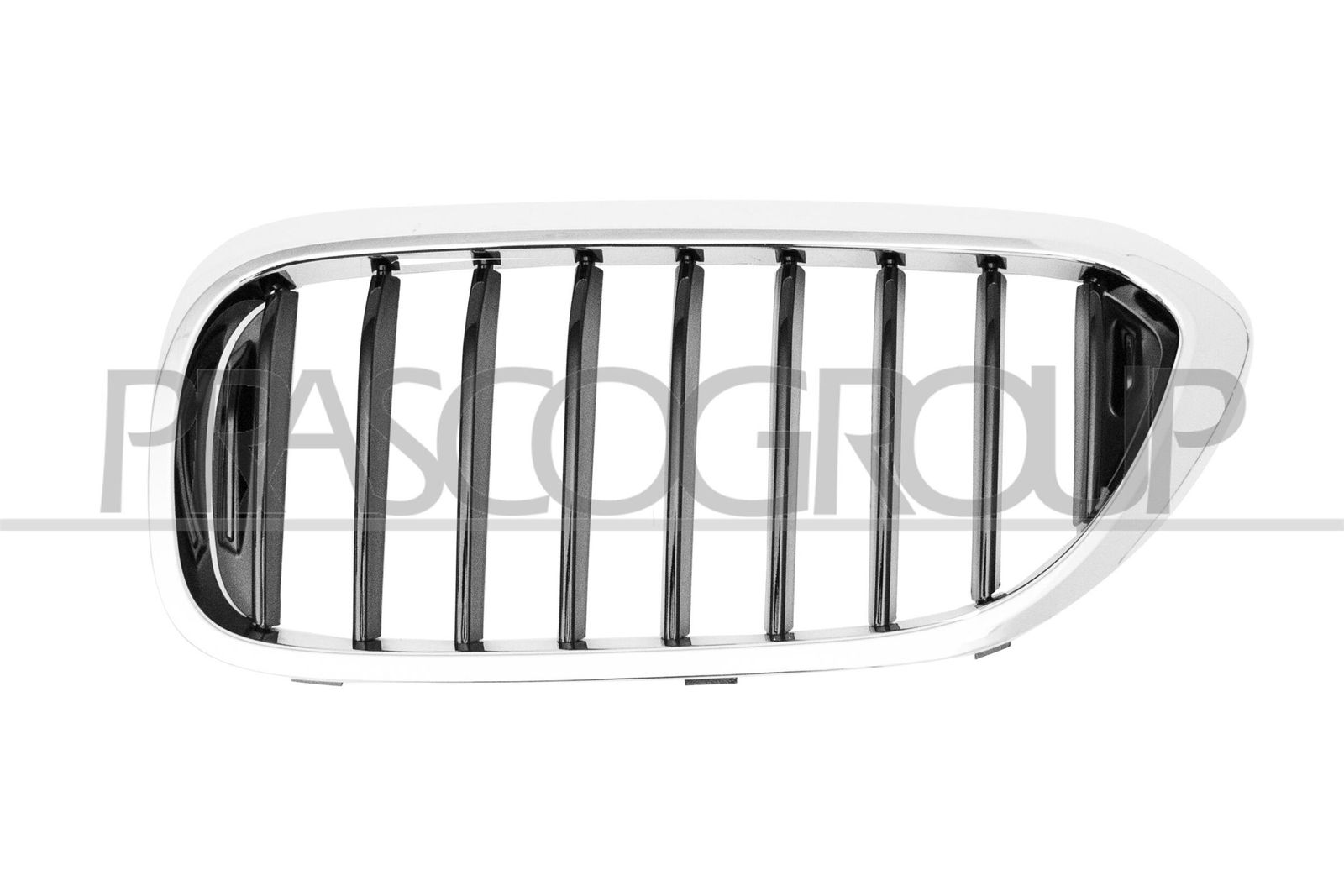 Grila radiator PRASCO BM0522024