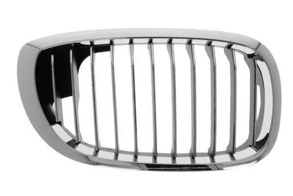 Grila radiator BLIC 6502-07-0061997PP