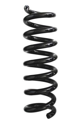 Arc spiral SPIDAN 87937