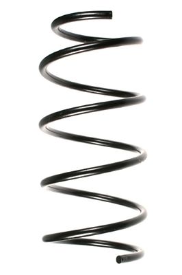 Arc spiral SPIDAN 48454