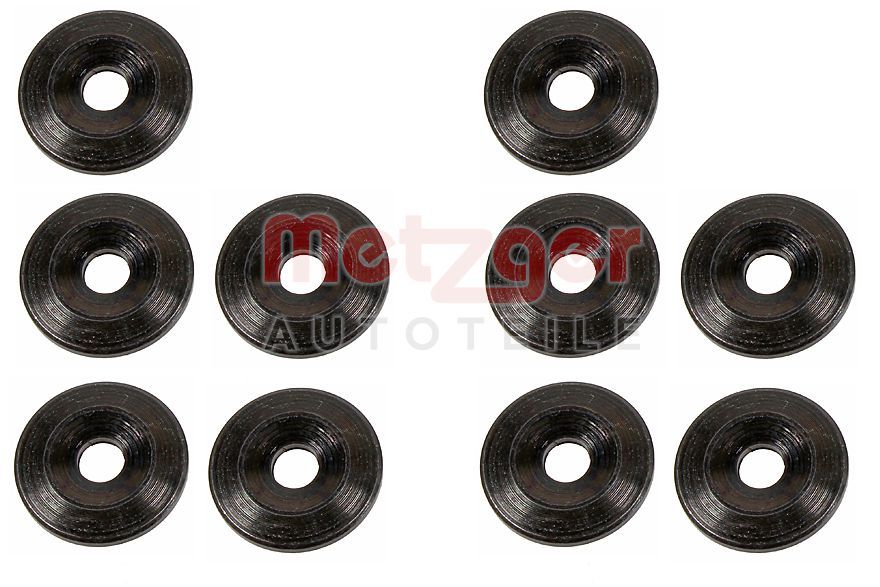 Kaitseseib,sissepritsesüsteem