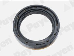 Pierścień uszczelniający wału, różnicowy PAYEN NA5503