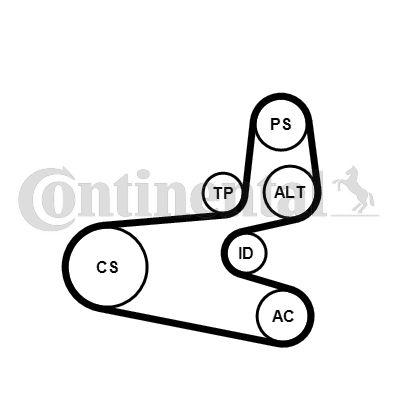 Zestaw paska klinowego wielorowkowego CONTINENTAL CTAM 6PK1560K1