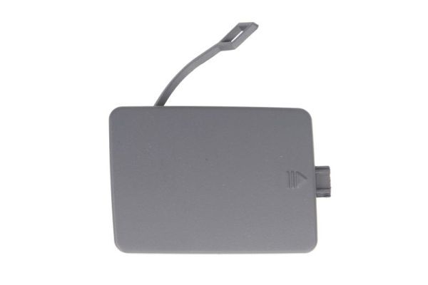 acoperire tampon,sistem de remorcare BLIC 5513-00-3582920P