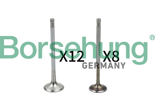 Set supape, supapă admisie/evacuare BORSEHUNG B18635