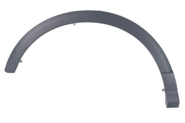 Ehis-/kaitseliist,Poritiib