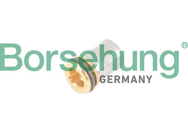 Zawór, odpowietrzanie skrzyni korbowej BORSEHUNG B12241