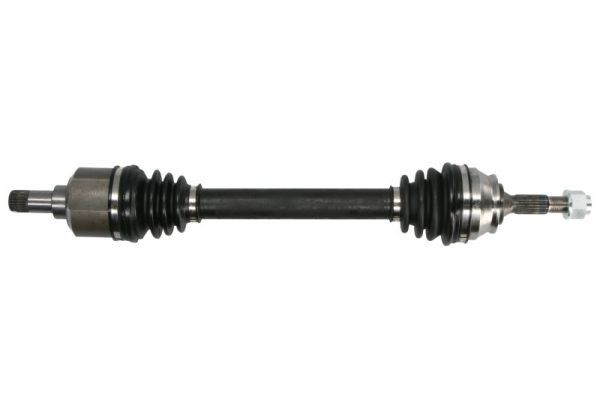 Planetara PASCAL G2C141PC