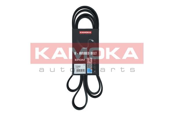 Pasek klinowy wielorowkowy KAMOKA 7016229