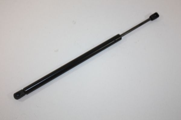 Gaasivedru, pagasi-/veoruum