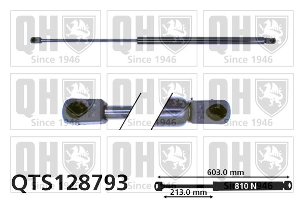 Sprężyna gazowa, pokrywa bagażnika QUINTON HAZELL QTS128793