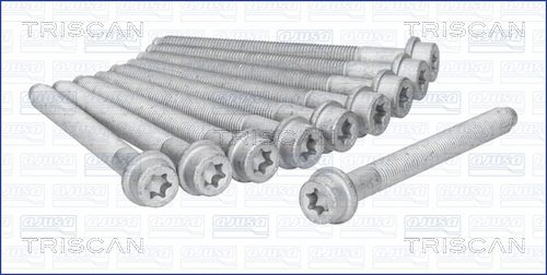 Zestaw śrub głowicy cylindrów TRISCAN 98-5503