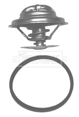 Termostat, środek chłodzący BORG & BECK BBT023