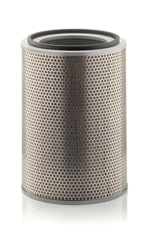 Filtru aer MANN-FILTER C 31 1238