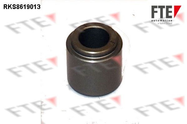 Tłoczek, zacisk hamulca FTE RKS8619013