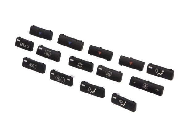 element de control,aer conditionat BLIC 1000-00-0065111SP