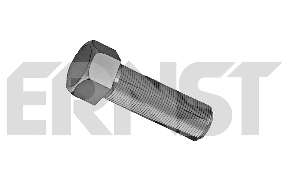 Surub ERNST 430234