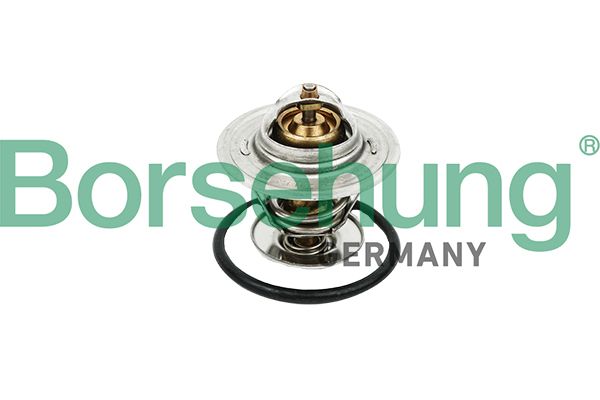 Termostat, środek chłodzący BORSEHUNG B18258