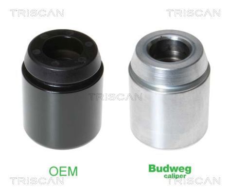 Tłoczek, zacisk hamulca TRISCAN 8170 234231