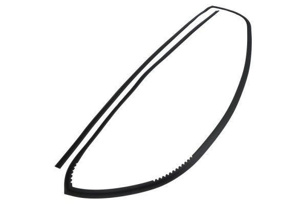 Elemente decorative/protectie, parbriz BLIC 5703-04-6037528Q