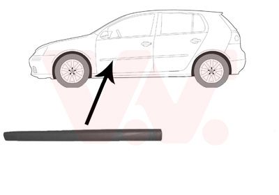 Elemente decorative/protectie, portiera VAN WEZEL 5894403