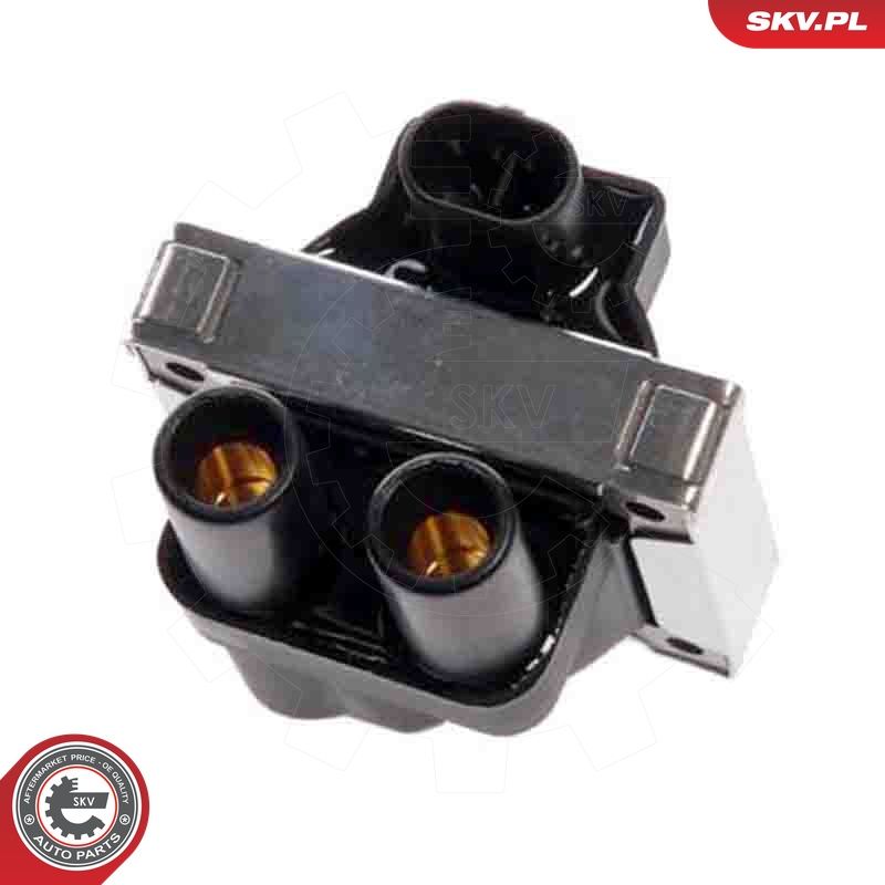 bobina de inductie ESEN SKV 03SKV003