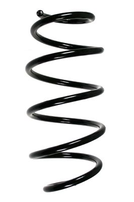 Arc spiral SPIDAN 56837