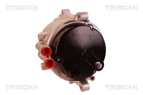 Alternator TRISCAN 831017004