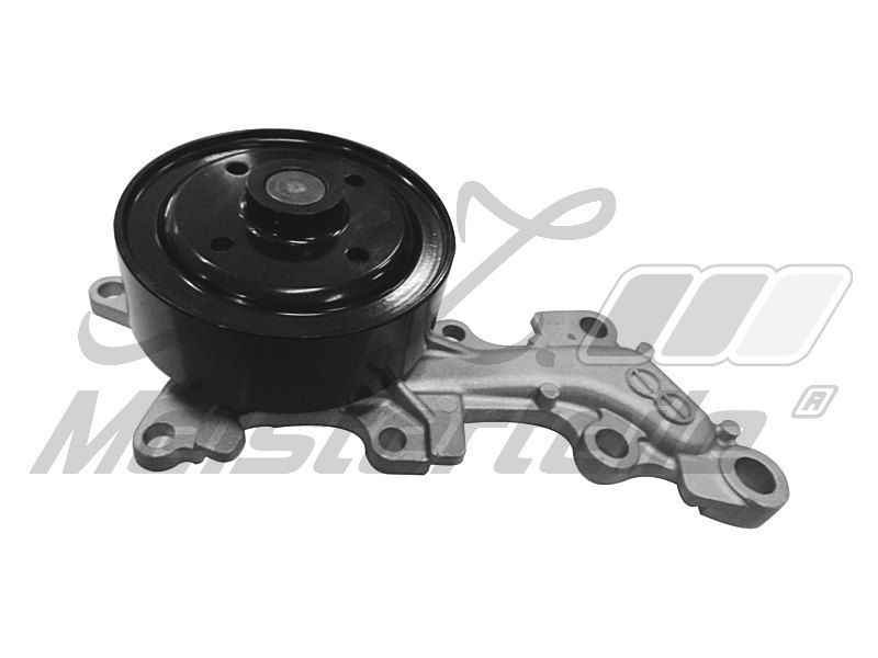 V70-50025 POMPE A EAU, REFROIDISSEM