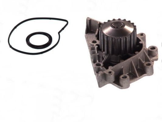 Pompa wody, chłodzenie silnika THERMOTEC D1P042TT