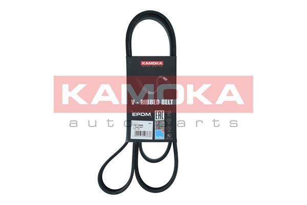Pasek klinowy wielorowkowy KAMOKA 7017026