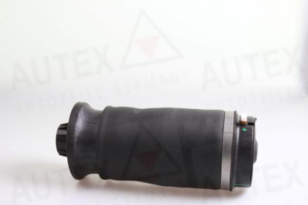Poduszka powietrzna, zawieszenie AUTEX 933031