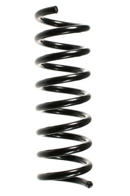 Arc spiral SPIDAN 55725