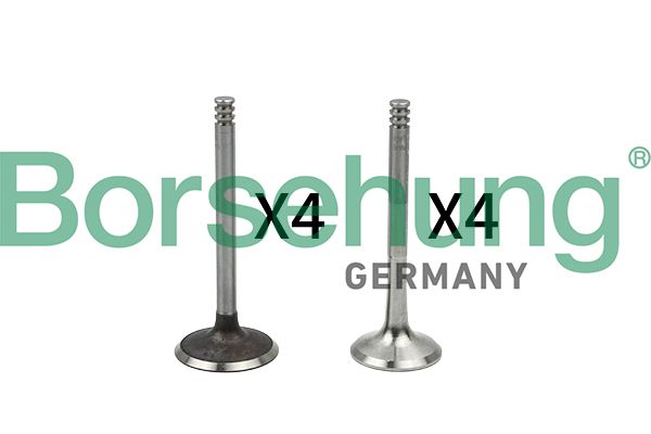 Zawór BORSEHUNG B18766