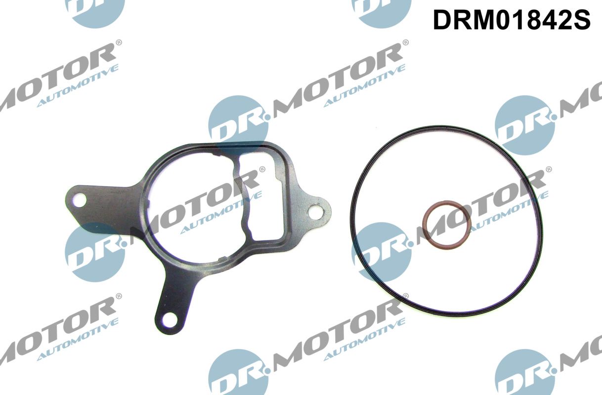 Set etansare, pompa vacuum Dr.Motor Automotive DRM01842S
