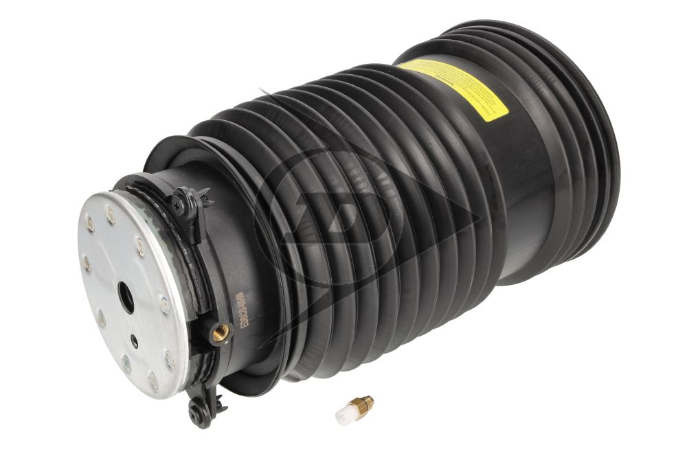 Arc pneumatic, directie DUNLOP AIRSUSPENSION 74260
