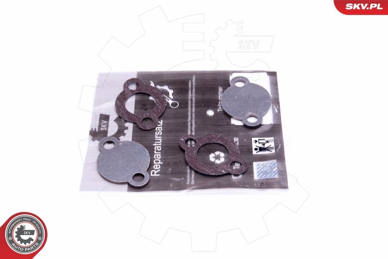 Set de reparație, supapă AGR ESEN SKV 14SKV578