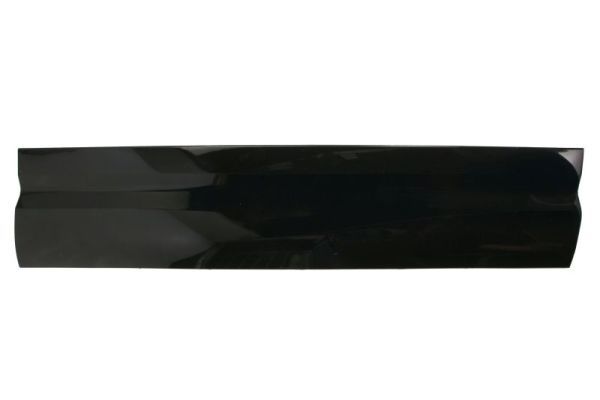 Elemente decorative/protectie, portiera BLIC 5703-04-6481572P