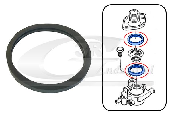 Garnitura termostat 3RG 82642