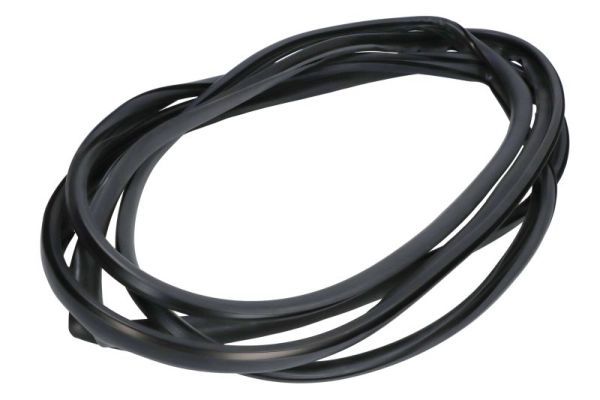Garnitura, parbriz BLIC 5703-04-6037548Q