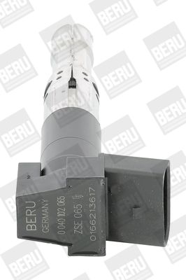 Zapalovací cívka BorgWarner (BERU) ZSE065