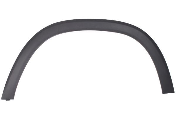 Ehis-/kaitseliist,Poritiib